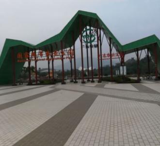 【每晚8点粤语金曲约定你!】视频直播-YY